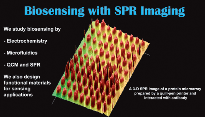 SPR Imaging