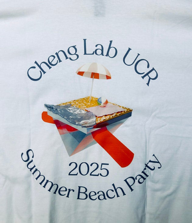 beach25d.jpg