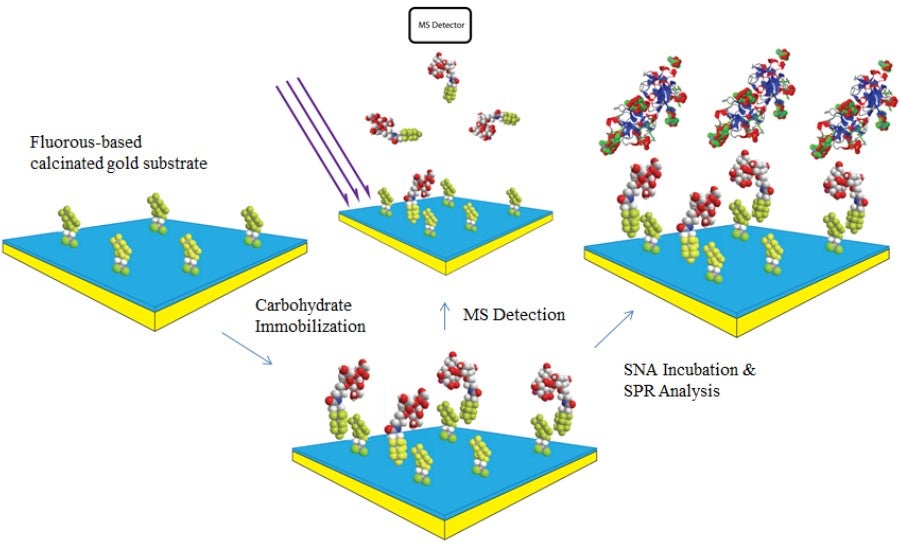 Surface-Based Mass Spectrometry Chip Development | Cheng Research Group